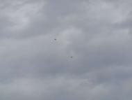 Очима туриста, фото Андрія Сніжка