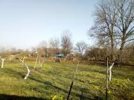 Лемеші - Останні фото