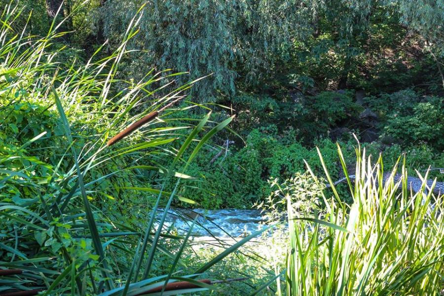 Хохитва - Хохитва