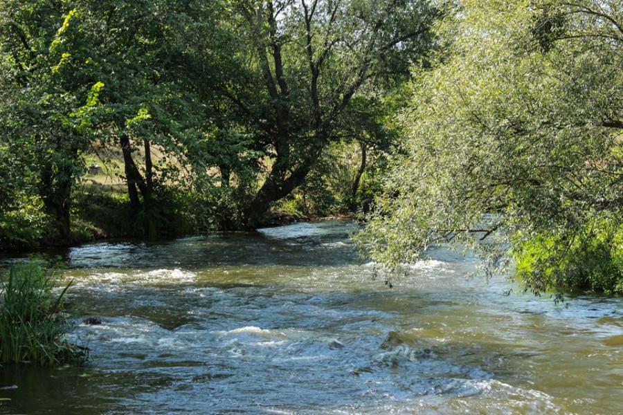 Хохитва - Хохітва