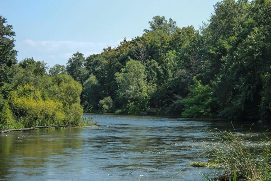 Хохитва - Хохитва