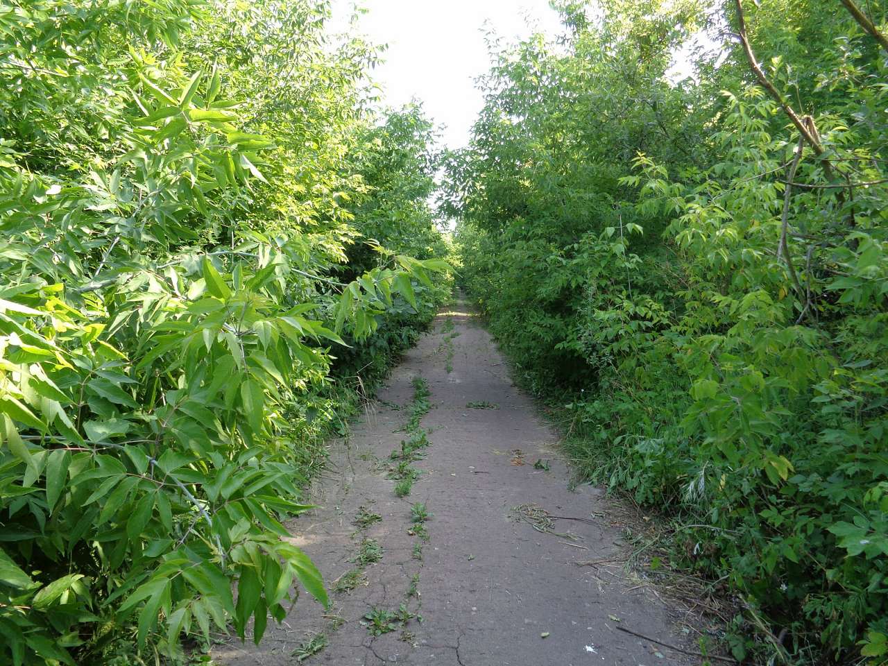 Очима туриста, фото Андрія Сніжка - Плиски