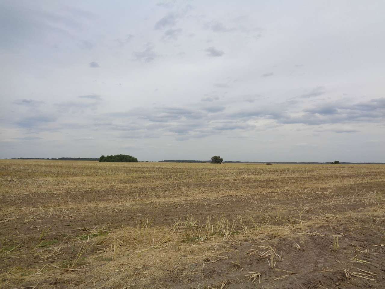 Природа, фото Андрія Сніжка - Шпаків