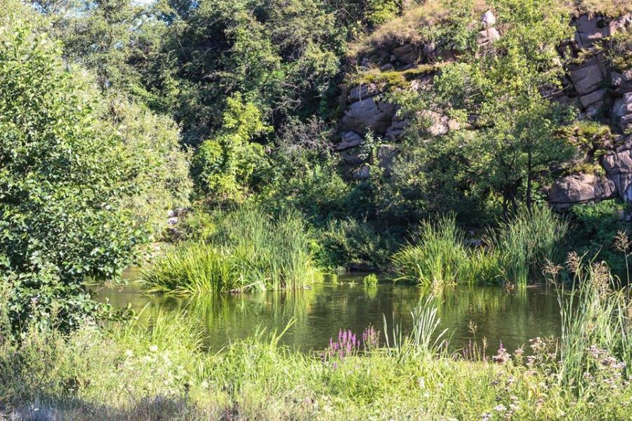 Хохитва - Хохитва