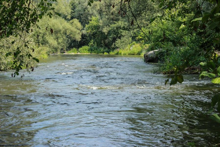 Хохитва - Хохітва