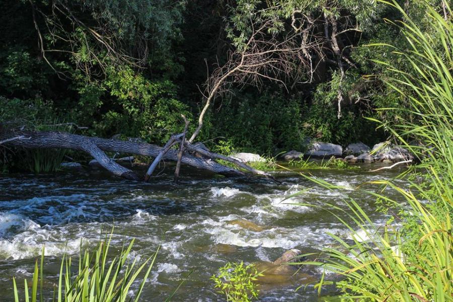 Хохитва - Хохитва