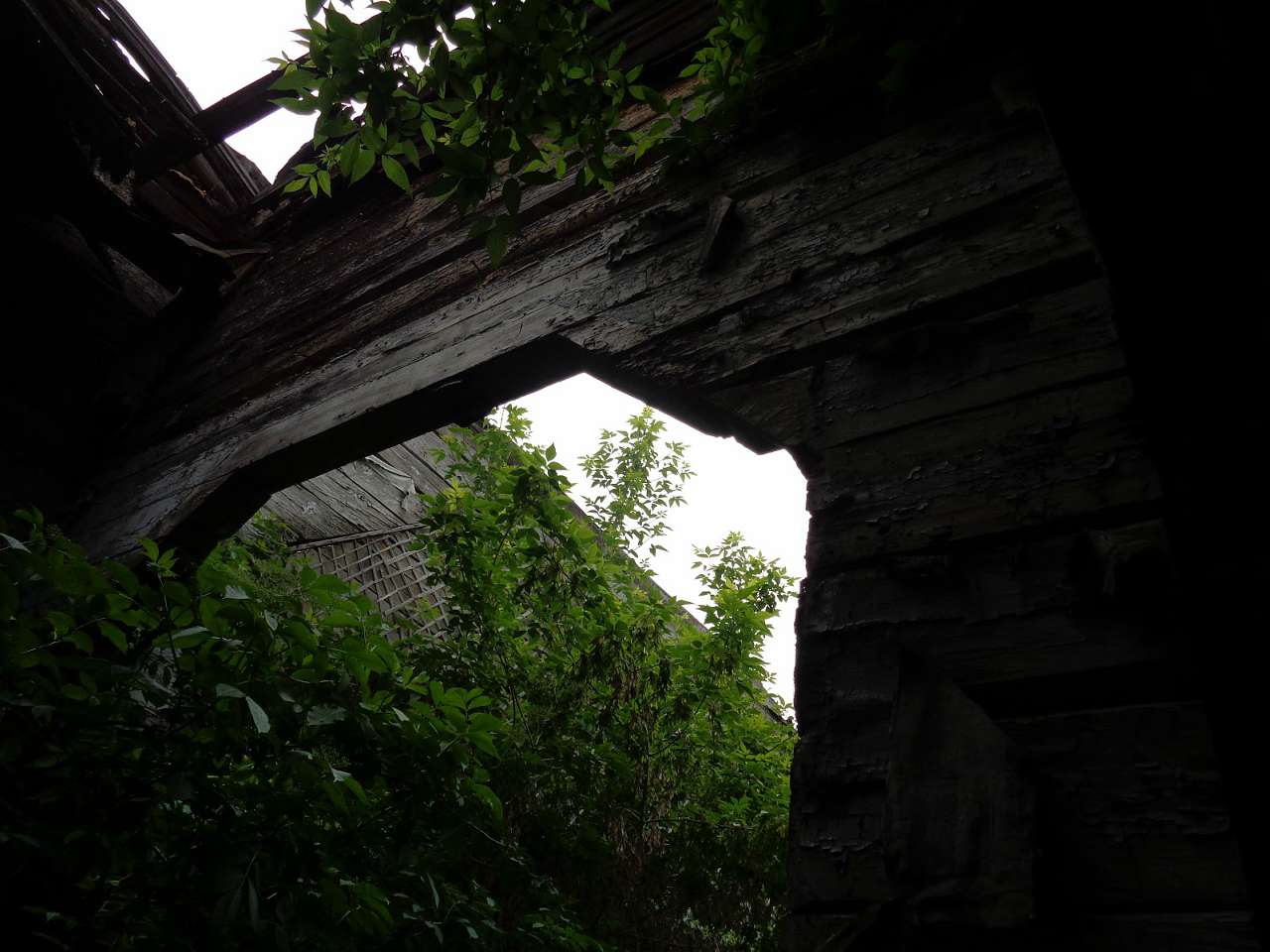 Очима туриста, фото Андрія Сніжка - Чемер