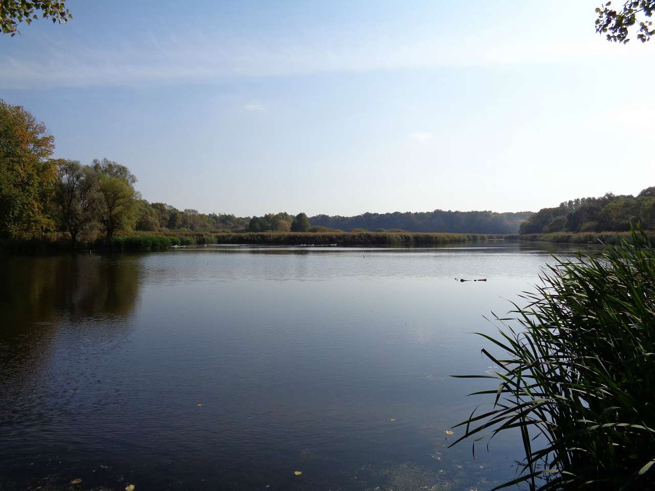 Очима туриста, фото Андрія Сніжка - Макарівка