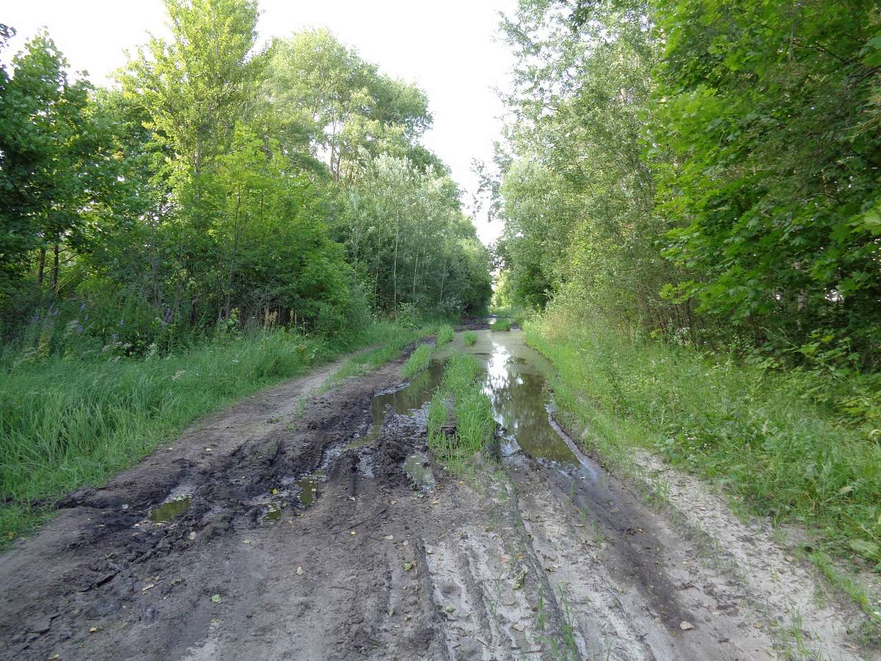 Очима туриста, фото Андрія Сніжка - Плиски