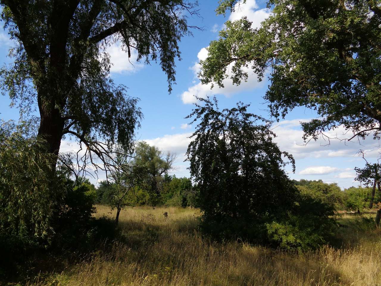 пам'ятки, фото Андрія Сніжка - Круты