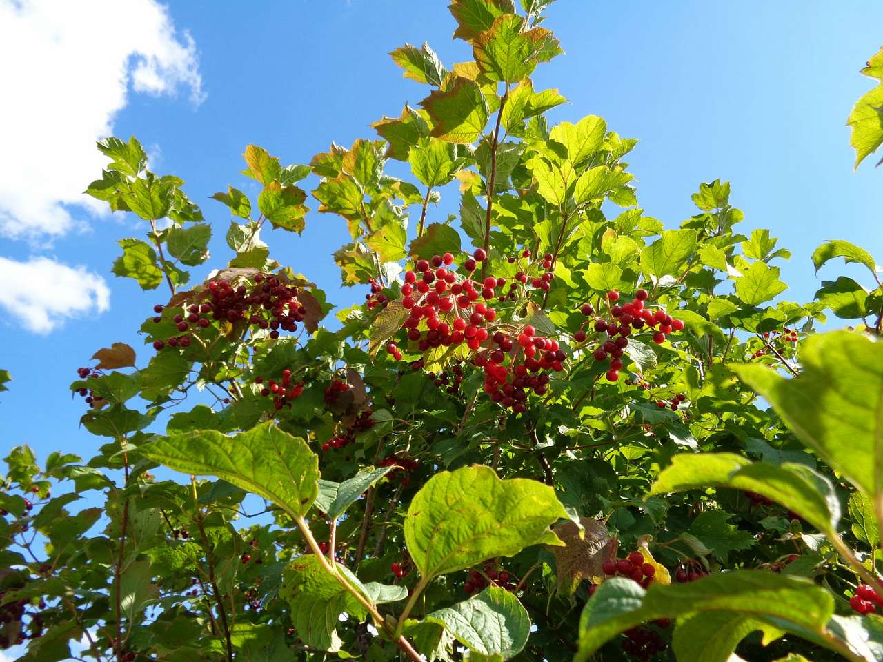 пам'ятки, фото Андрія Сніжка - Круты