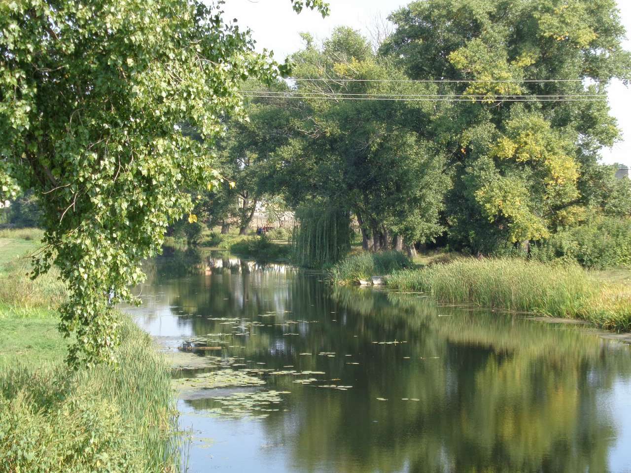 Природа, фото Андрія Сніжка - Козелець