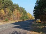 В Березівку по гриби