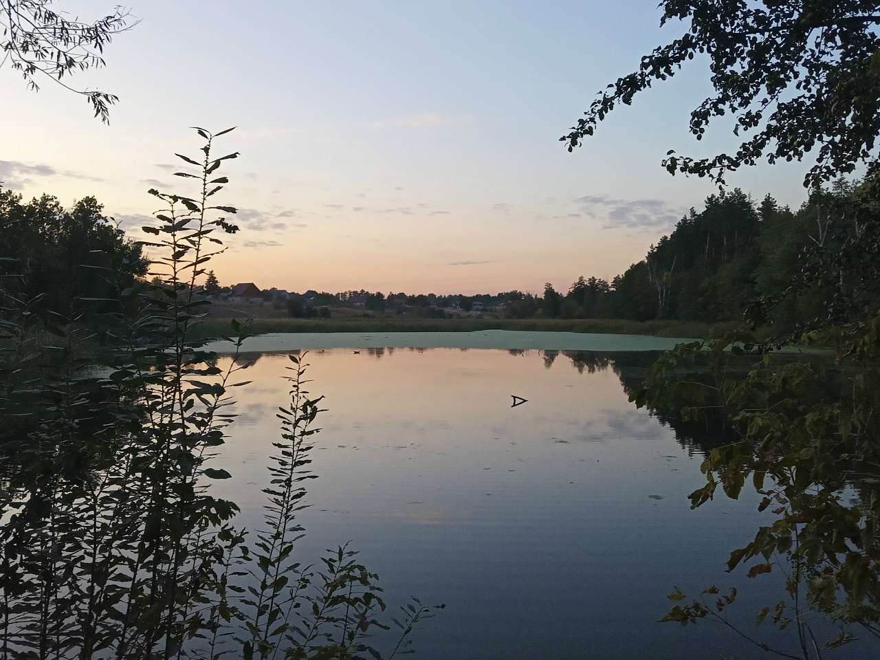 В Березівку по гриби - Березовка