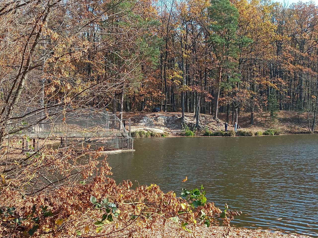 В Березівку по гриби - Березівка
