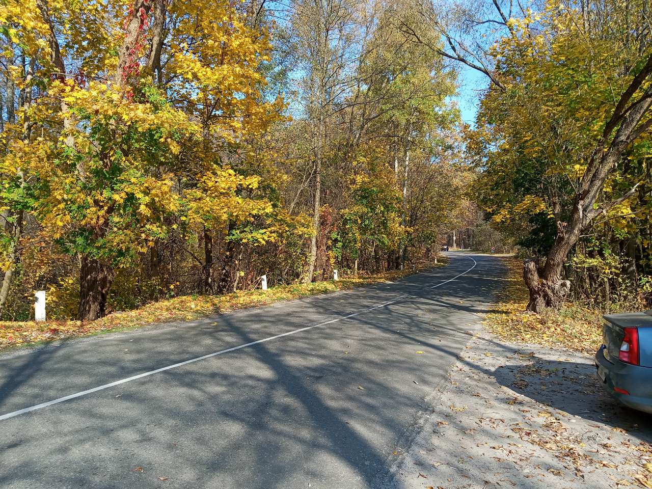 В Березівку по гриби - Березовка