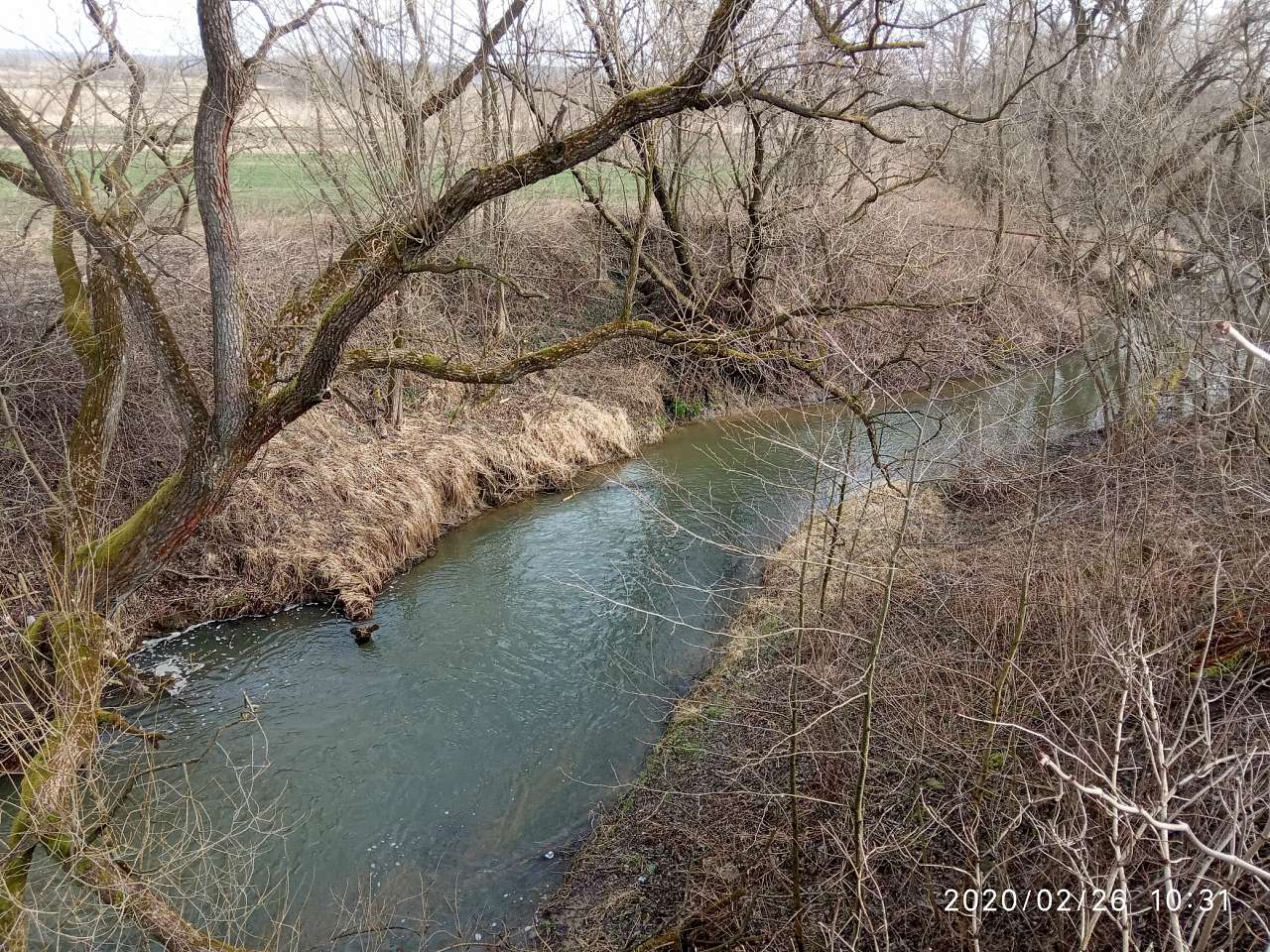 Річка Бережницця - Дашава
