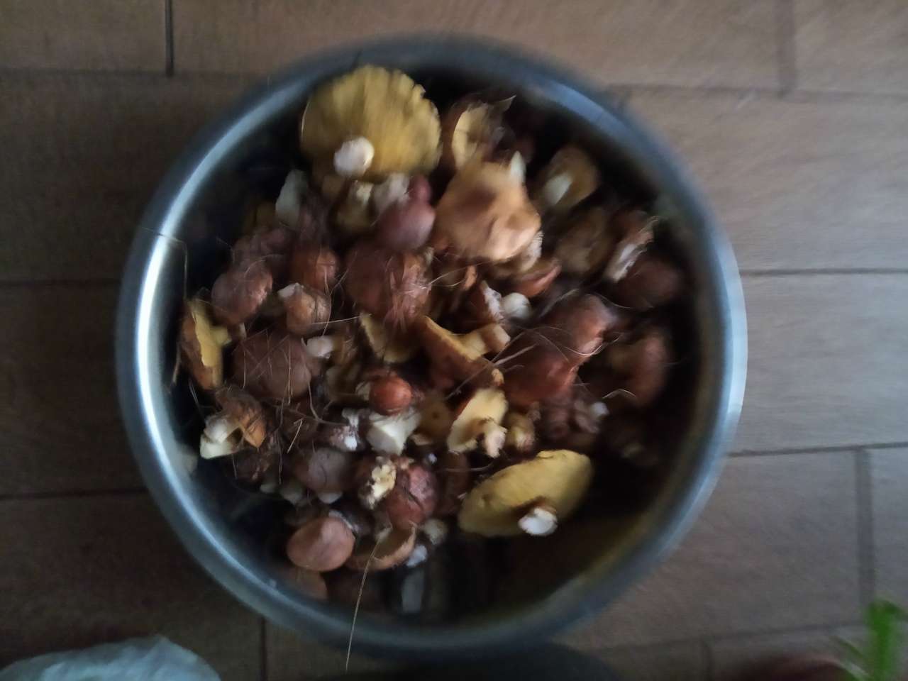 В Березівку по гриби - Березівка