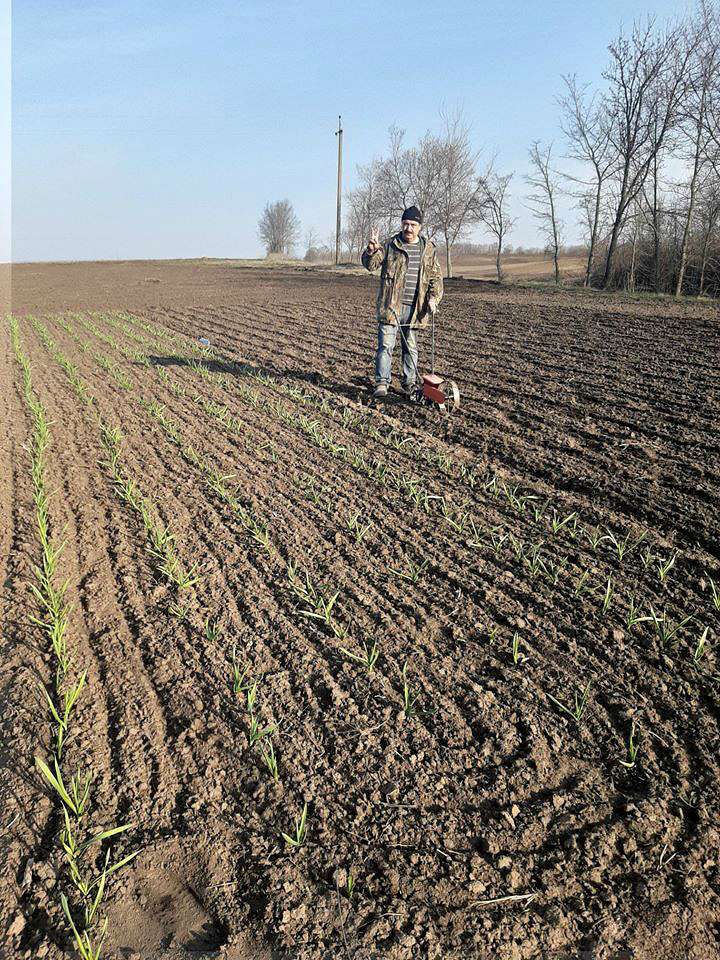 Товмач - Товмач