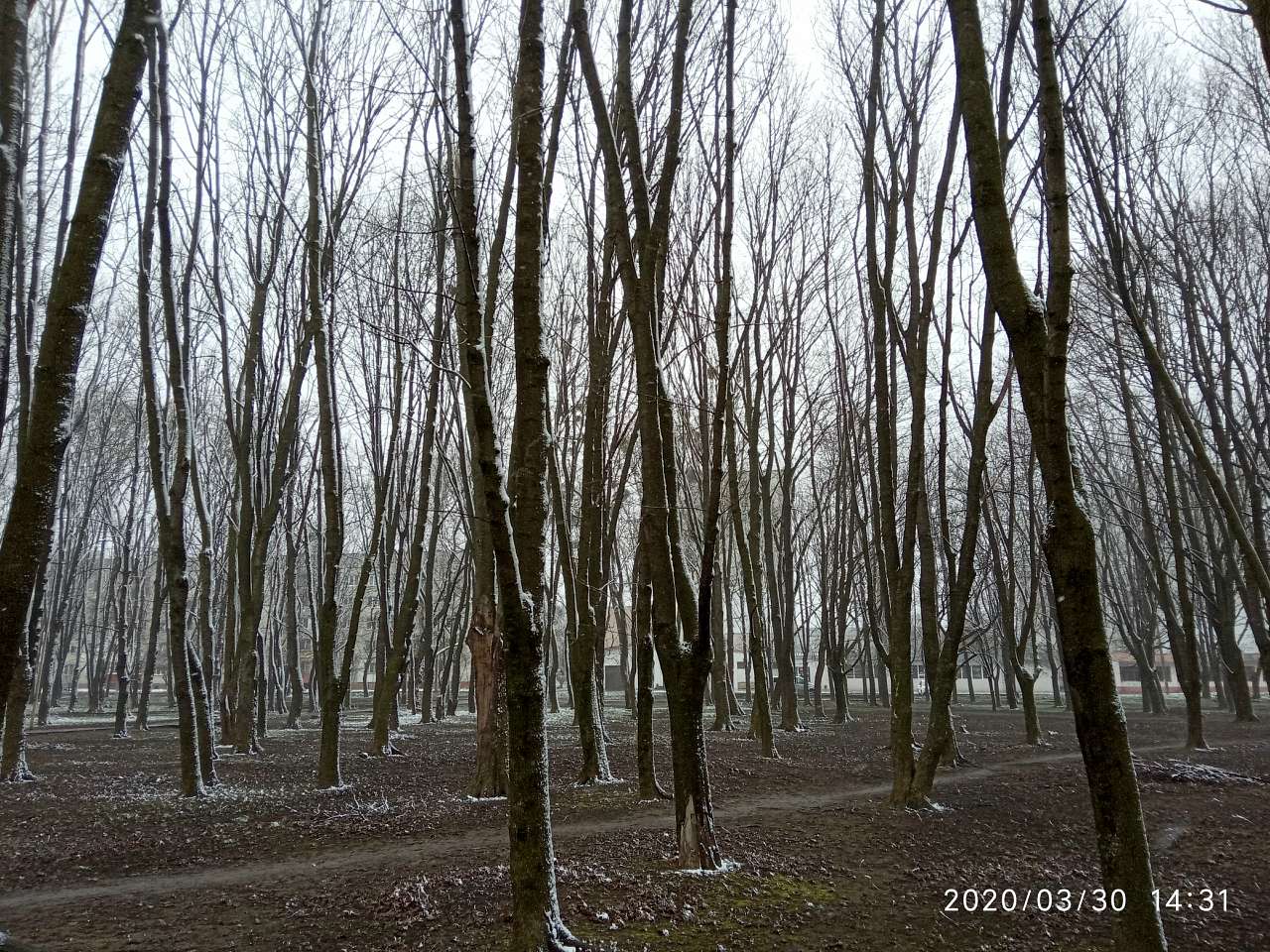 парки - Stryi