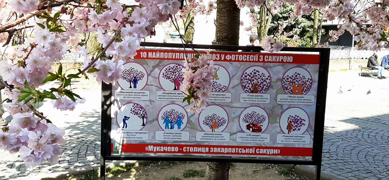 Мукачеве. Весна 2020 - Шенборн