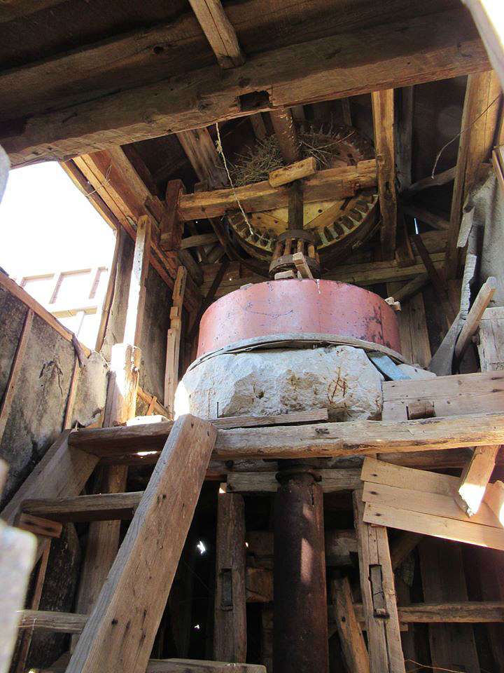 КАПУСТИНЕ - Капустине