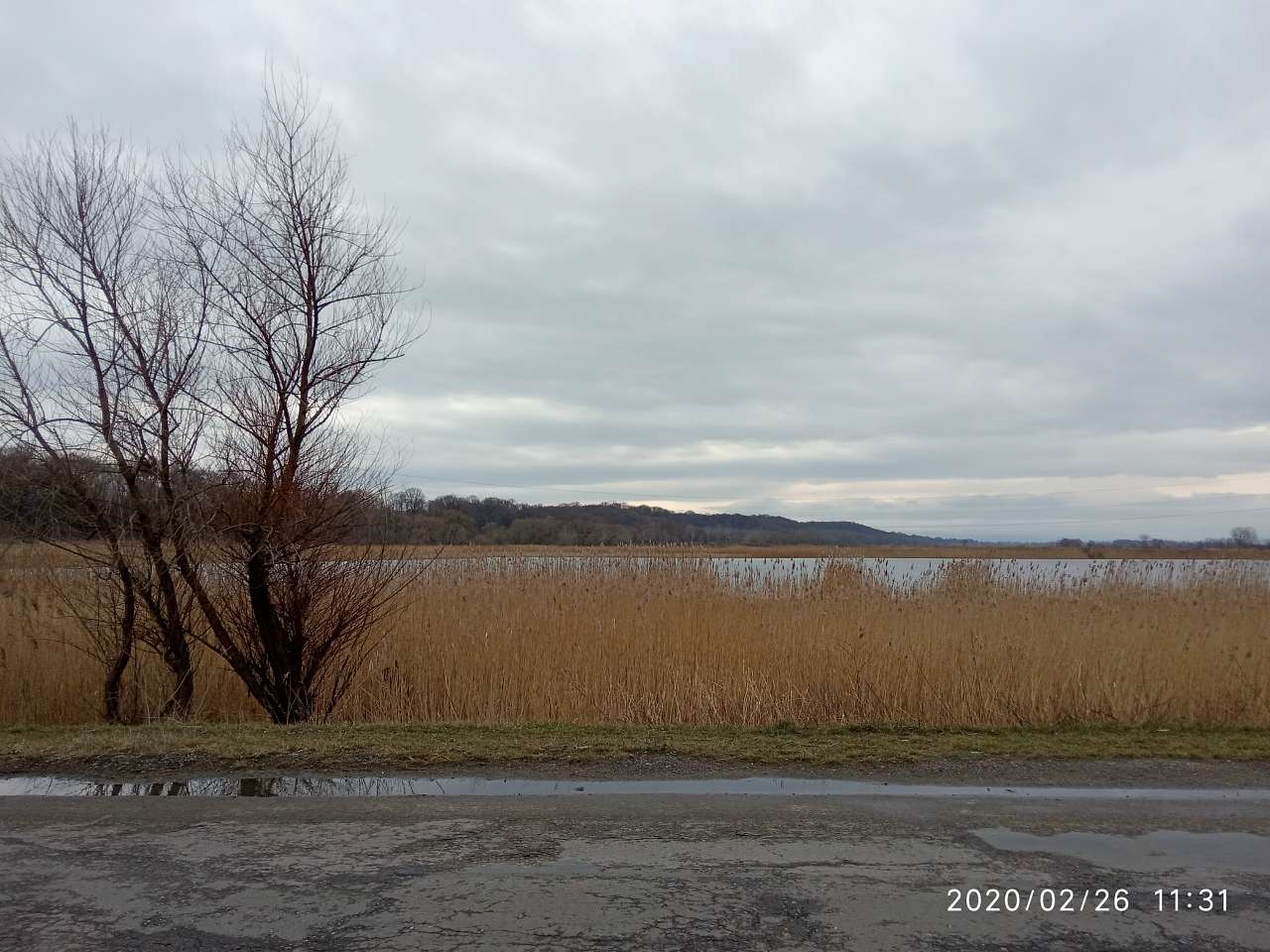 Стави - Підгірці