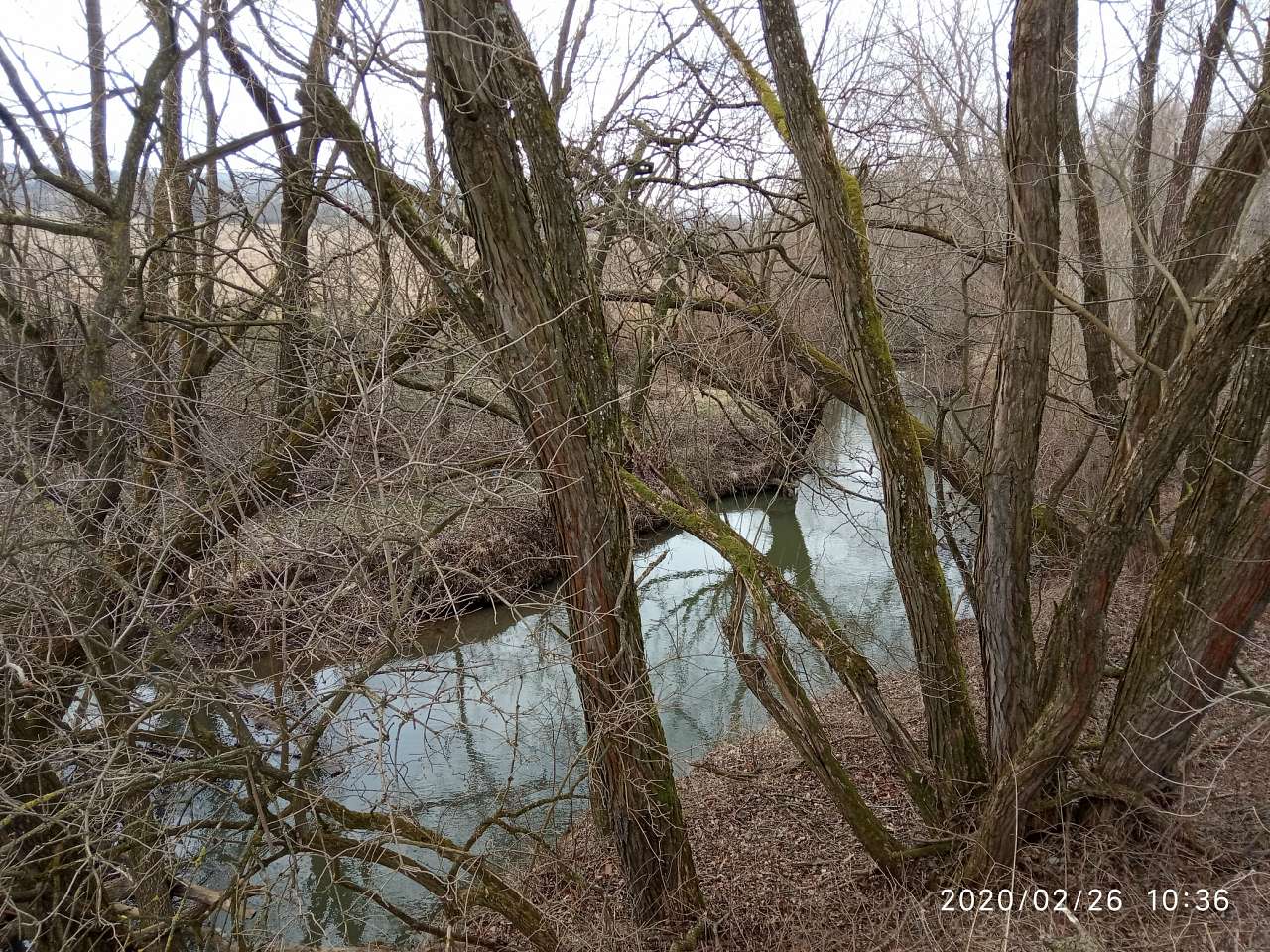 Річка Бережницця - Дашава