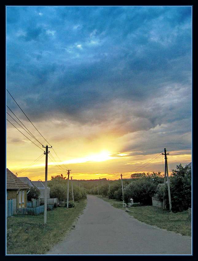 Терни з Інтернету - Терни