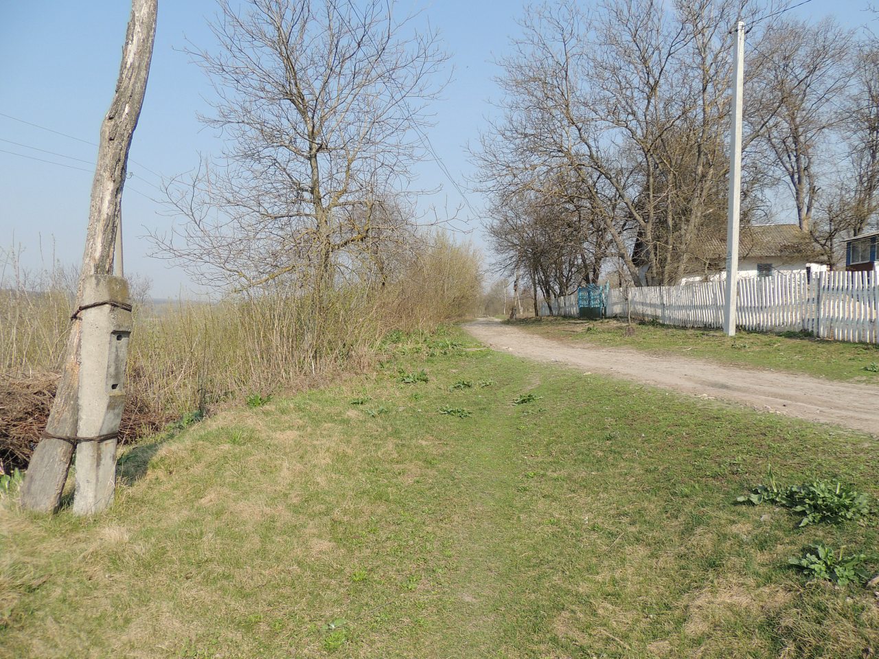 Скоморошки 2018 - Скоморошки