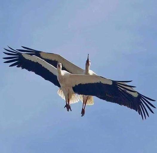 ЗООПАРК - Черкассы