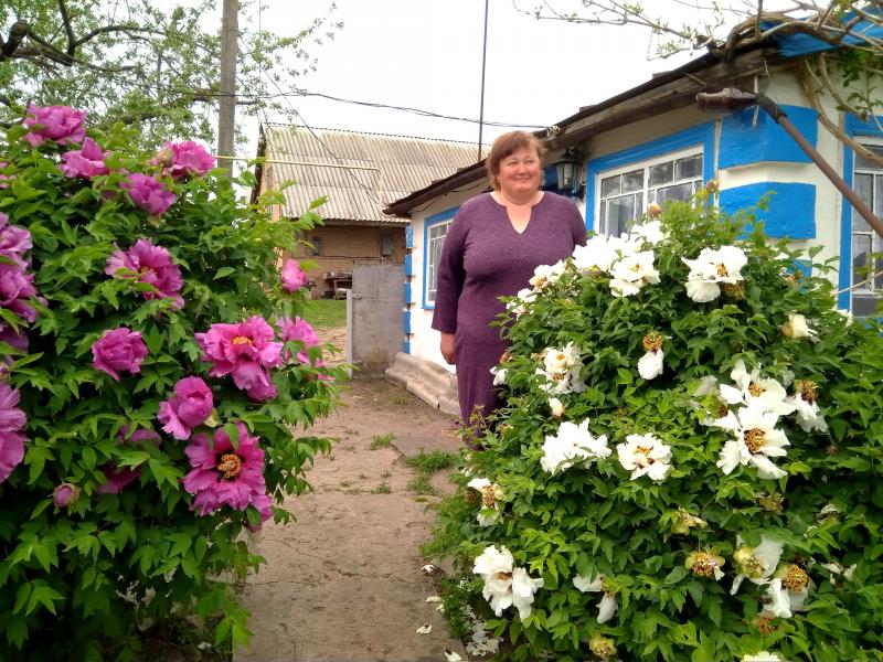 Папужани - Папужинці