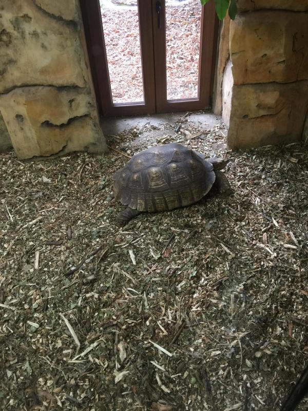 ЗООПАРК - Черкассы