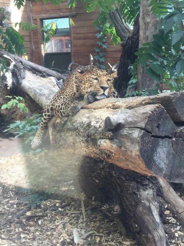 ЗООПАРК - Черкассы