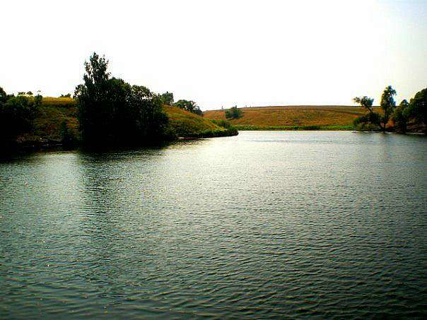 Терни з Інтернету - Терны