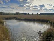 Шилова балка