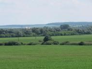 Васильків - Останні фото