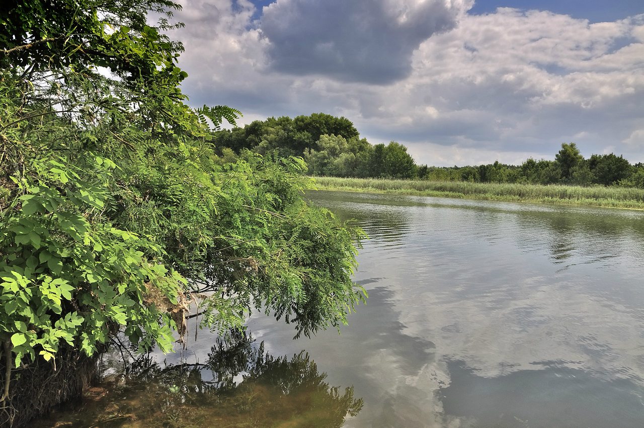 Бургунка - Бургунка