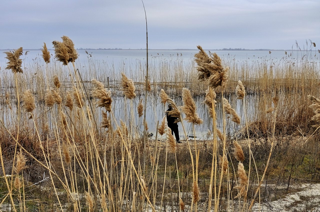 Забарине - Забарине