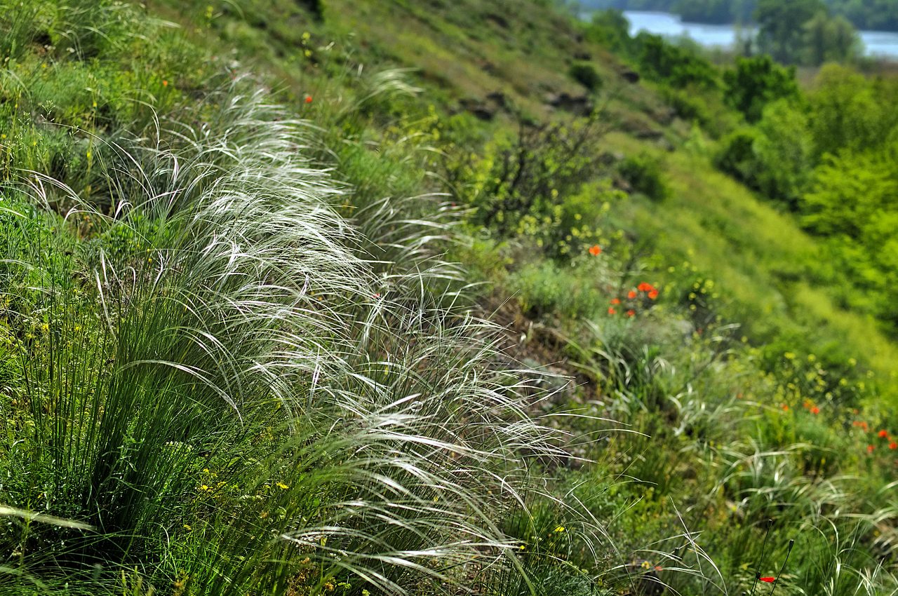 Миколаївка - Миколаївка