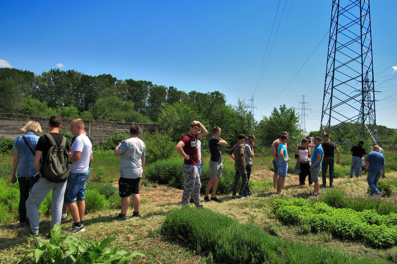Плодове - Плодовое