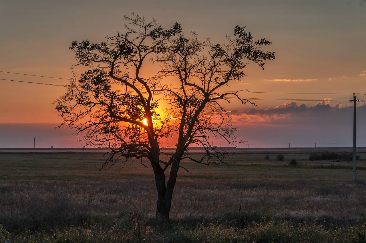 Нова Каховка - Нова Каховка