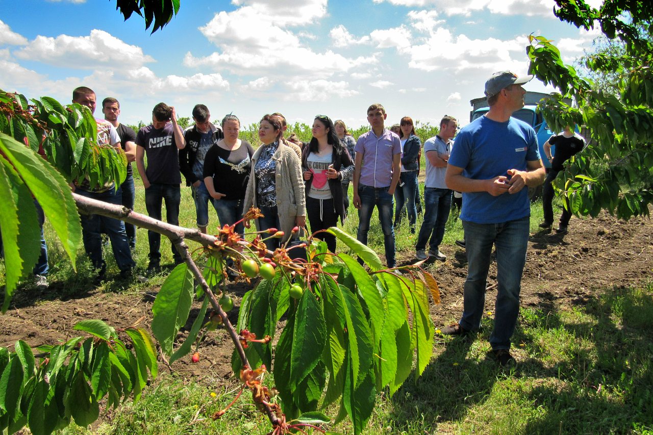 Отрадокаменка - Одрадокам'янка