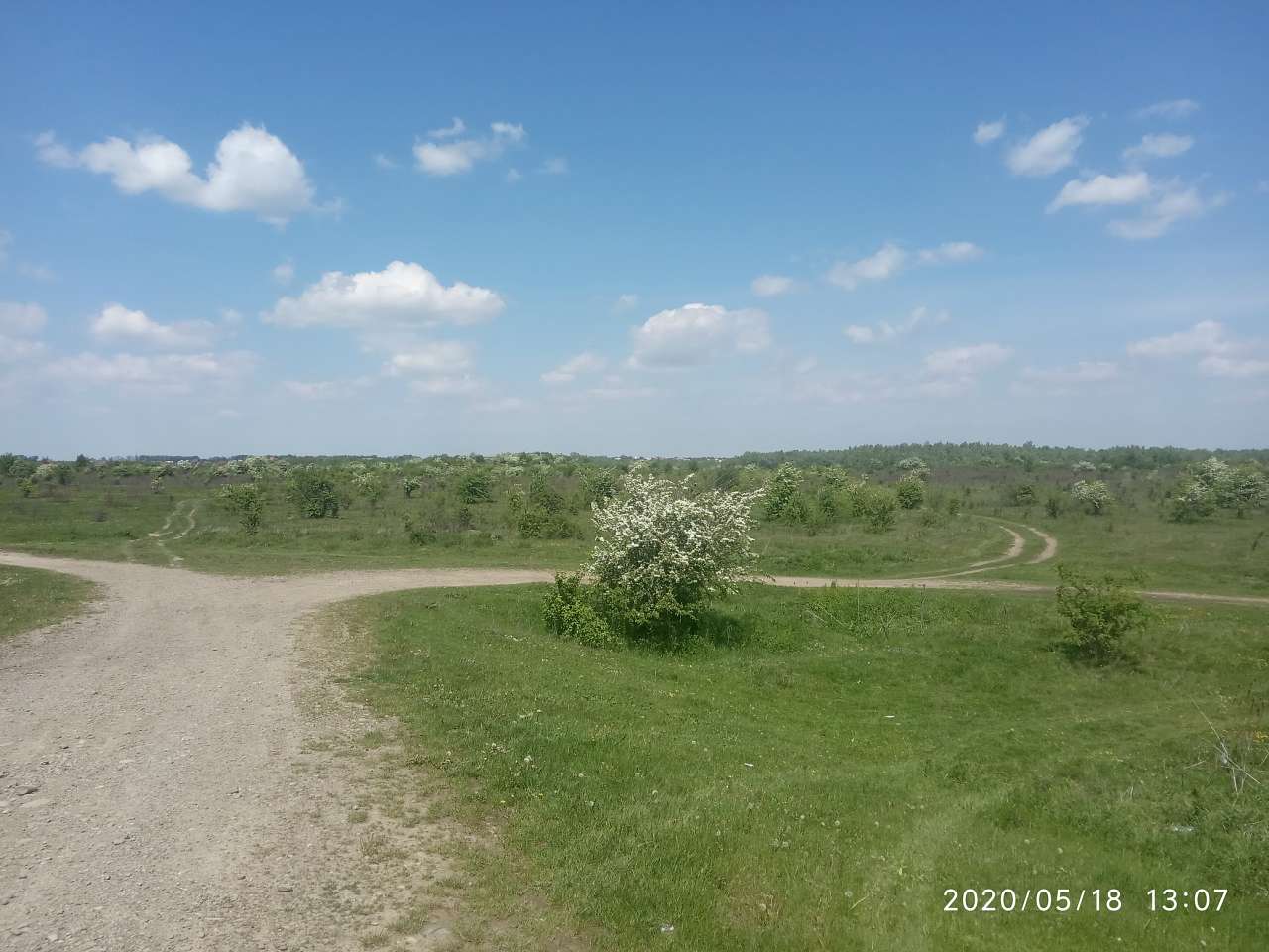 Краєвид - Верчани