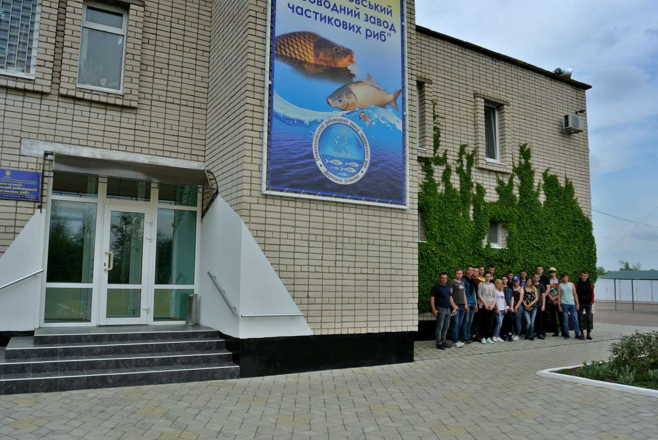 Обривка - Обрывка