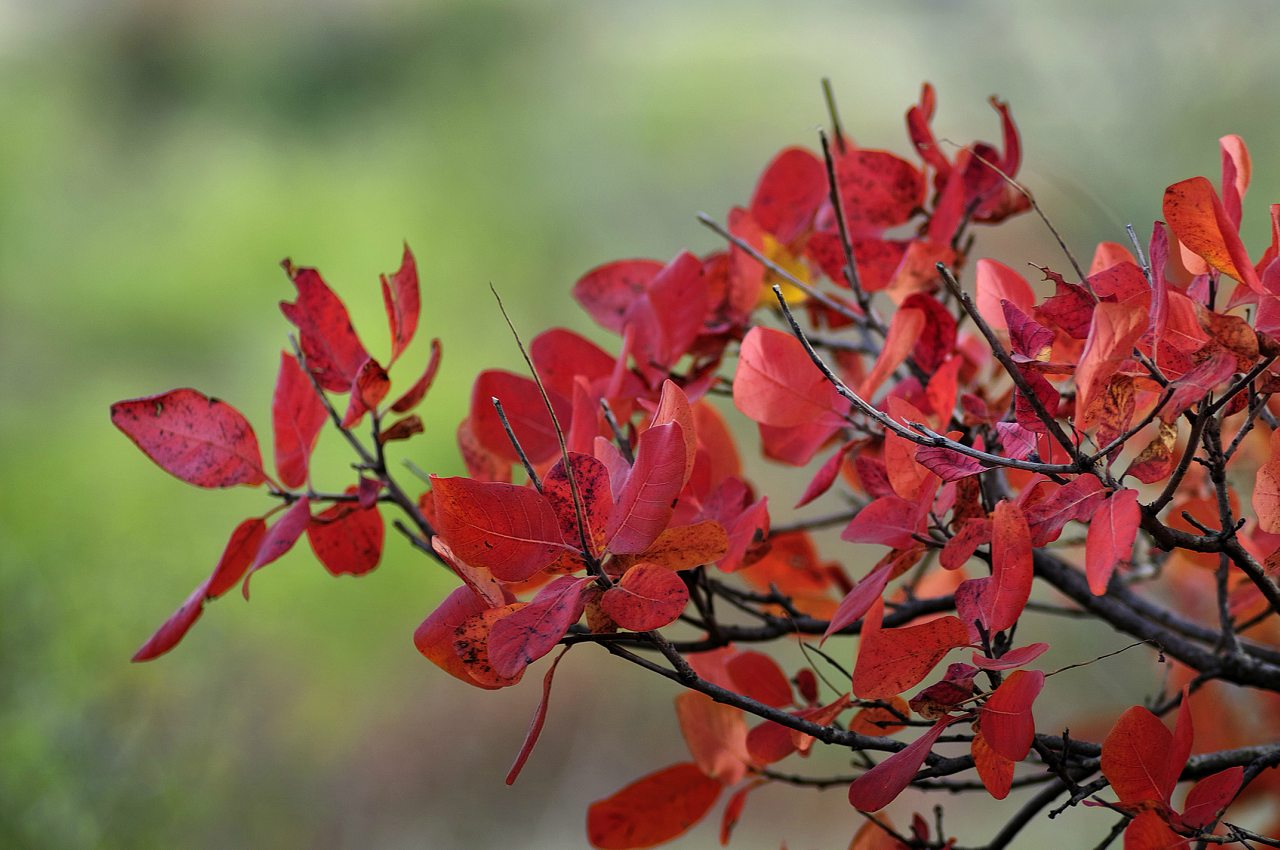 Новокаїри - Новокаїри