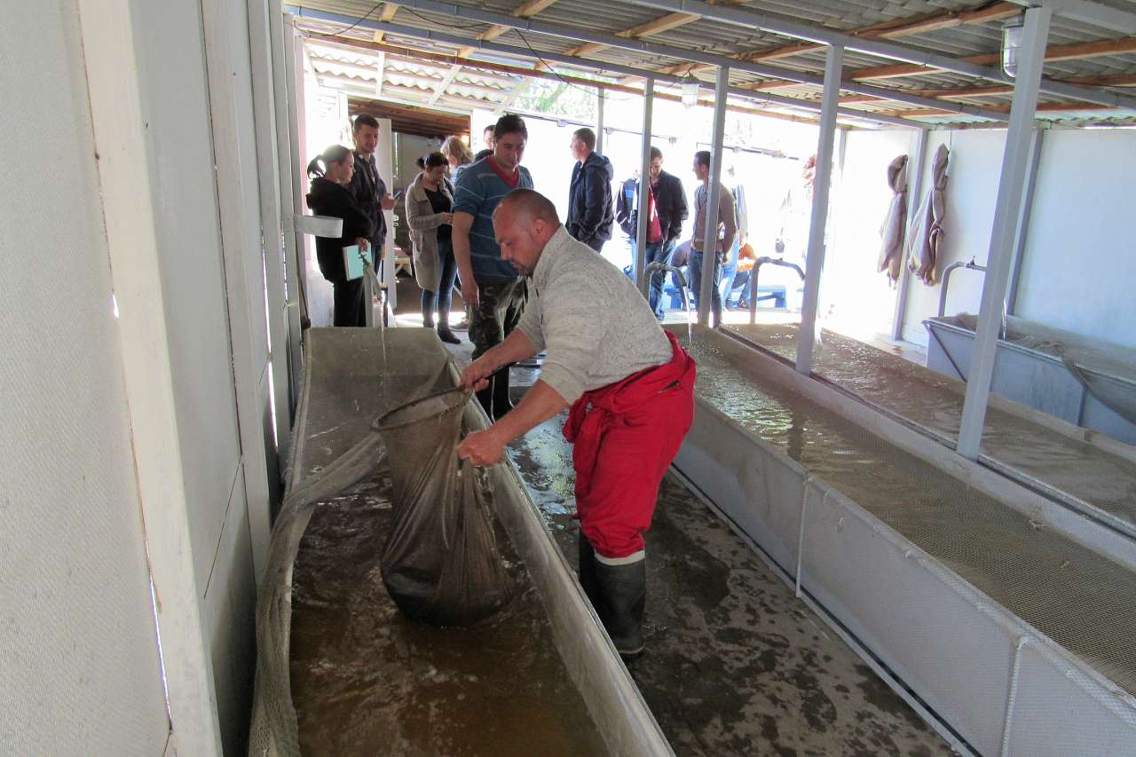 Обривка - Обривка