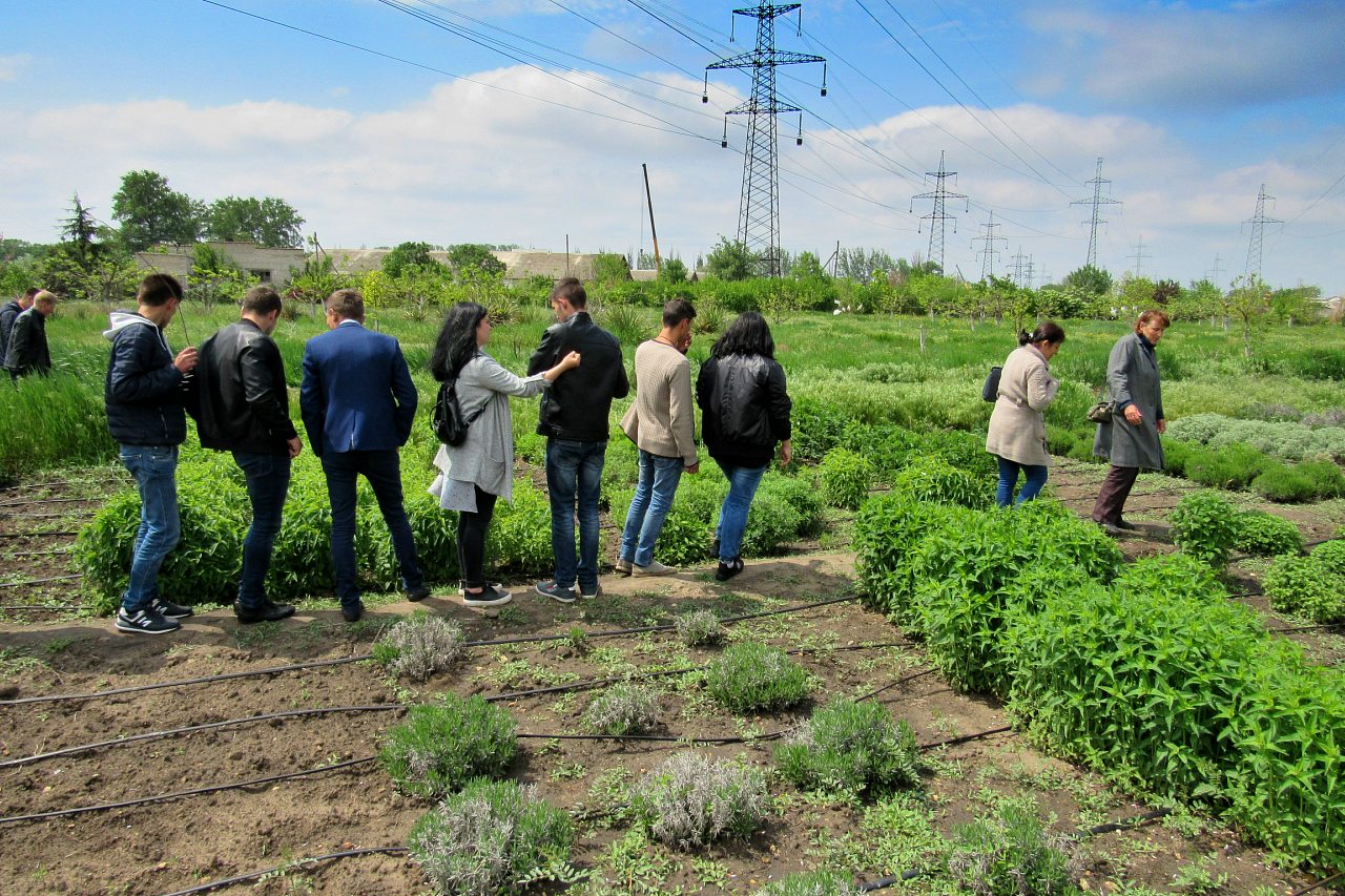 Плодове - Плодове