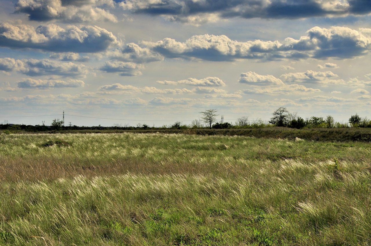Шилова балка - Веселе