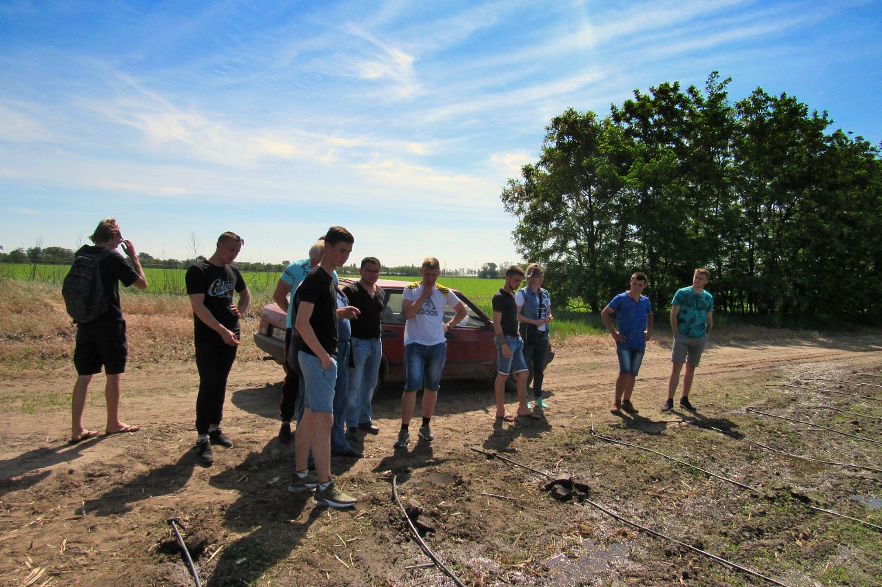 Дніпряни - Дніпряни